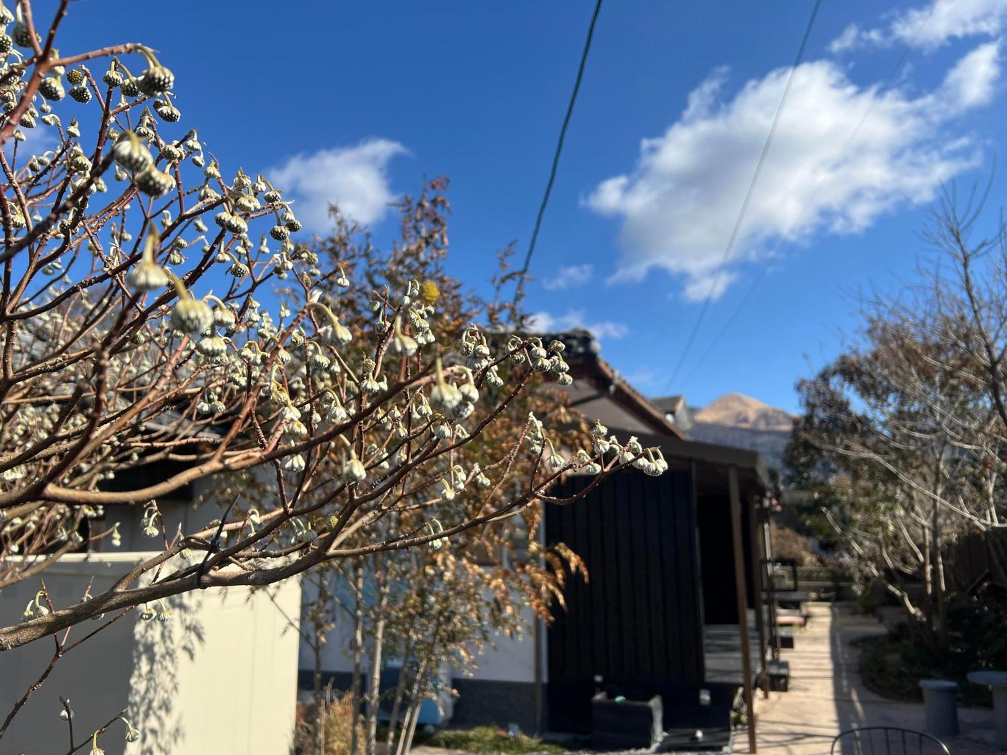 מלון יופו Assi House מראה חיצוני תמונה